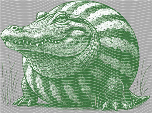 Tung Tung sahur-TT 264